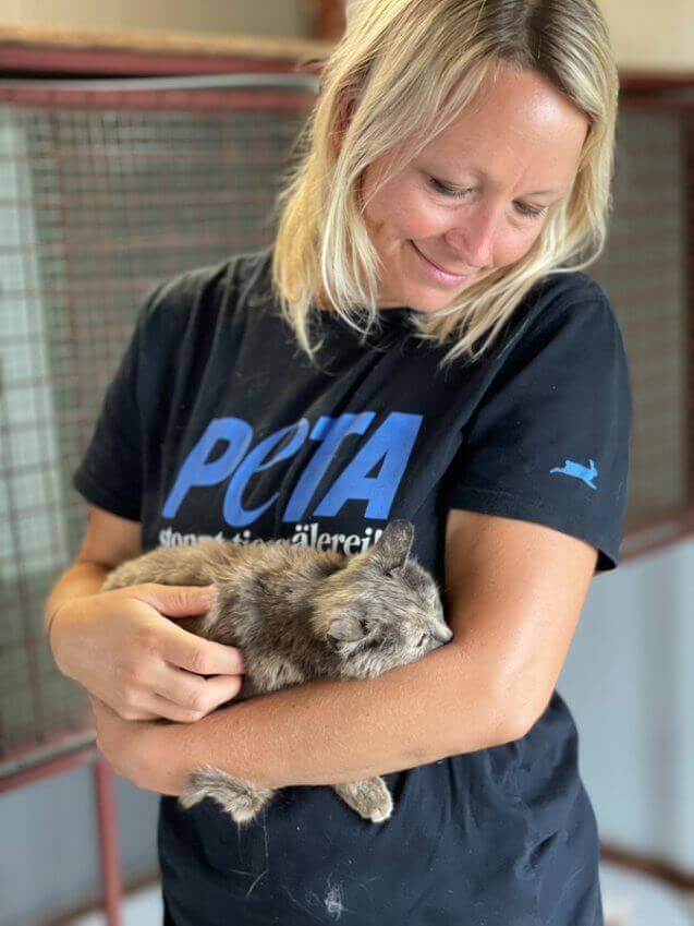 Freiwillige mit einer Katze Freiwillige mit einer Katze